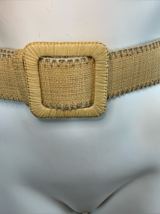 Elie Tahari Woven Wide Belt Beige main image 9
